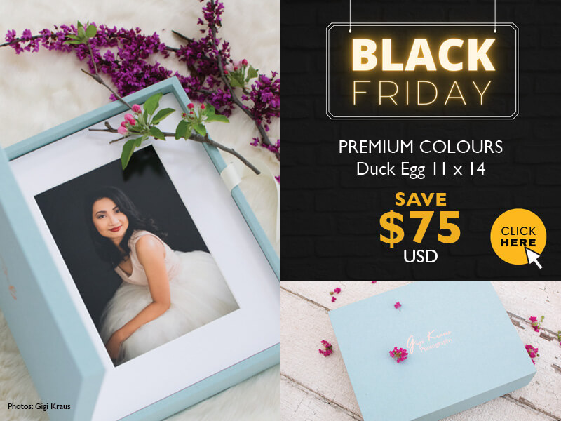 Black Friday Deal - Duck Egg 11x14 Folio Box