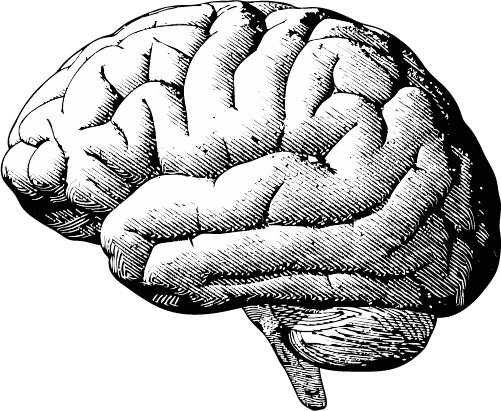 Light up your client's brain with instant gratification