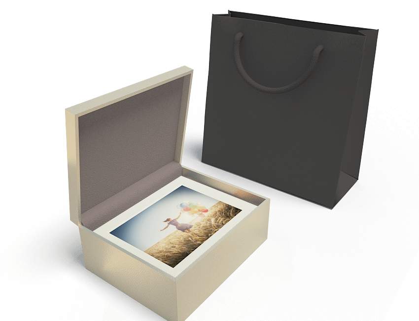 Gold Metallic Box w/ Ivory Mats & Prints