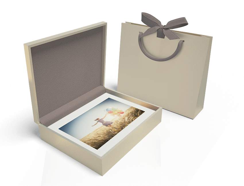 Shynargul Premium Métallique Folio Box