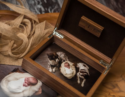 Premium Wood 6x4 Print and USB Boxes available in walnut