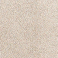 Champagne Faux Leather